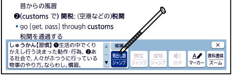 Search_Specifying Language 002 SA2900